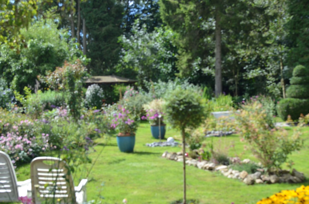 famille d'accuueil , persnnes âgées , bécourt