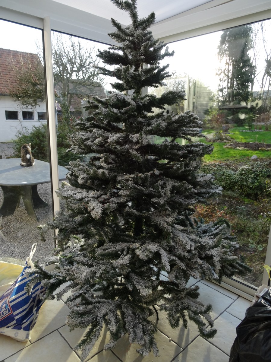 famille d'accueil , personnes âgées , bécourt