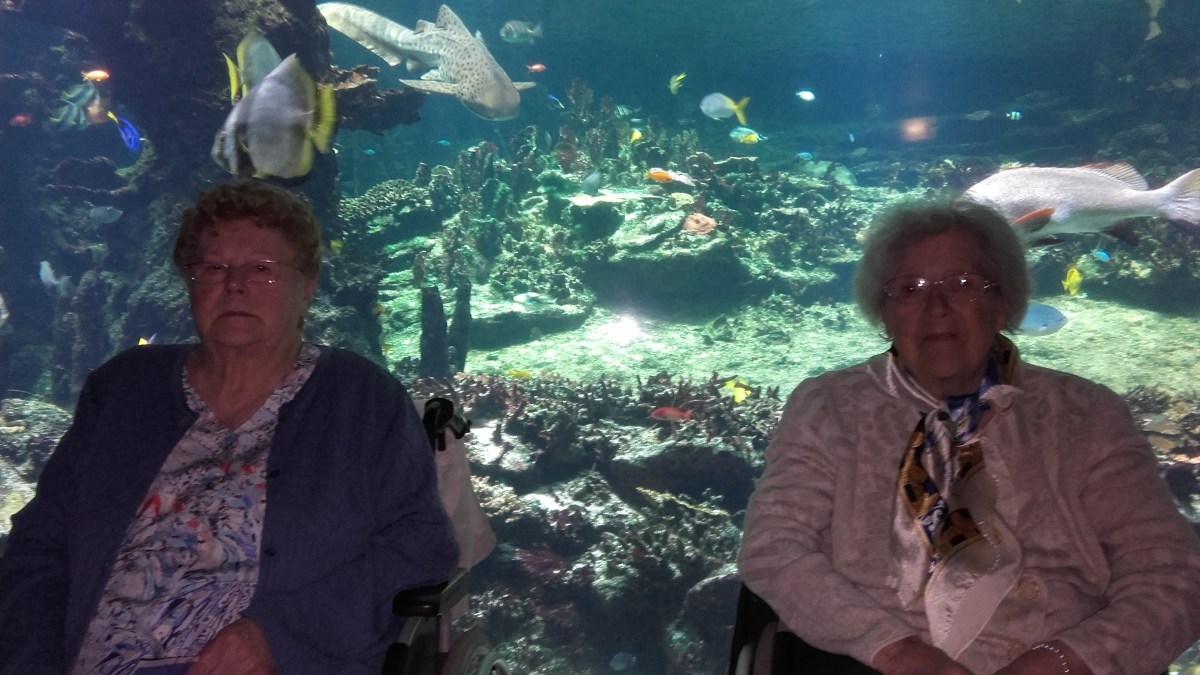 famille d'accueil , personnes âgées , bécourt , pas de calais