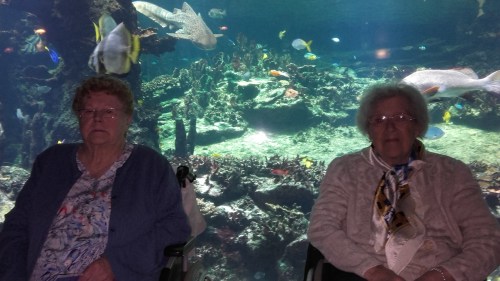 famille d'accueil , personnes âgées , bécourt , pas de calais