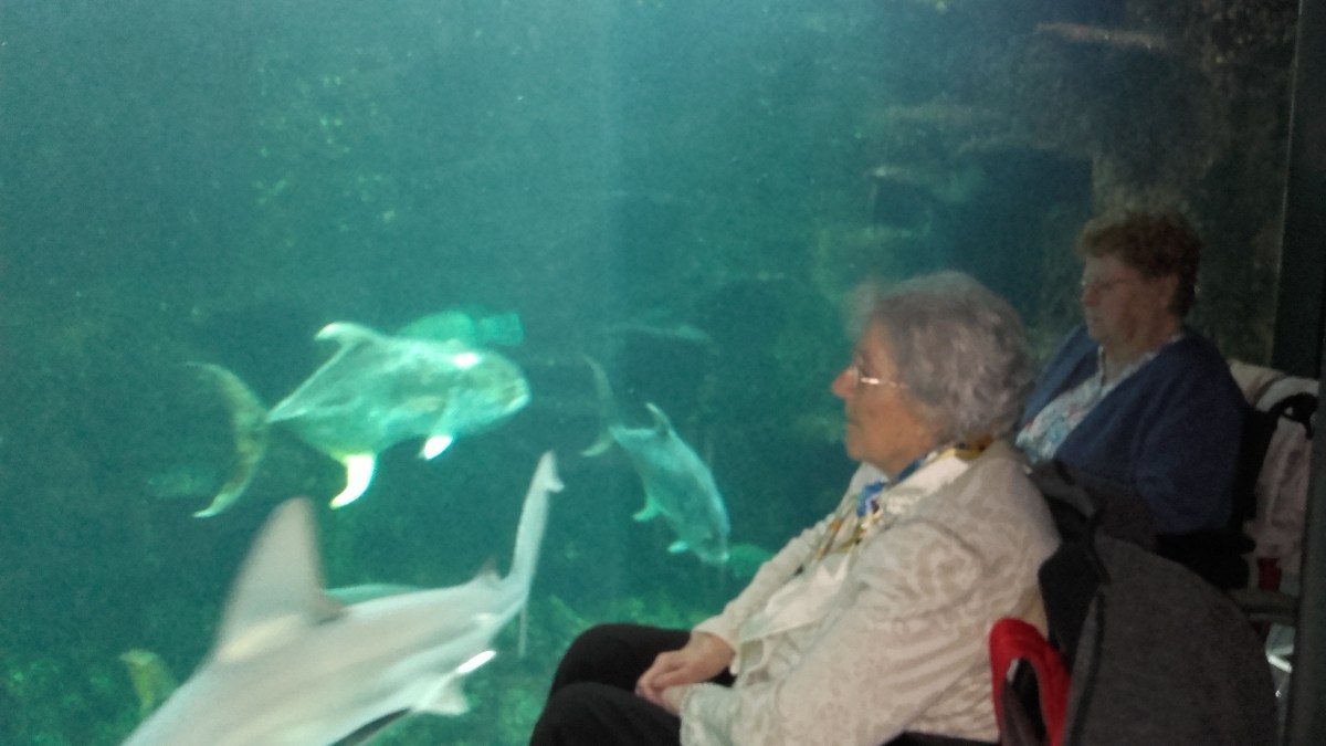 famille d'accueil , personnes âgées , bécourt , pas de calais