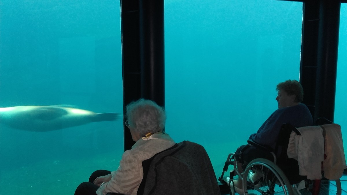 famille d'accueil , personnes âgées , bécourt , pas de calais