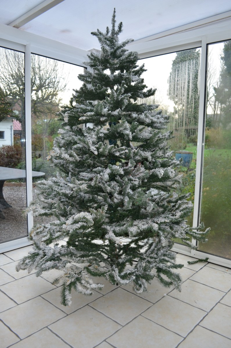 famille d'accueil , personnes âgées , bécourt , pazs de calais