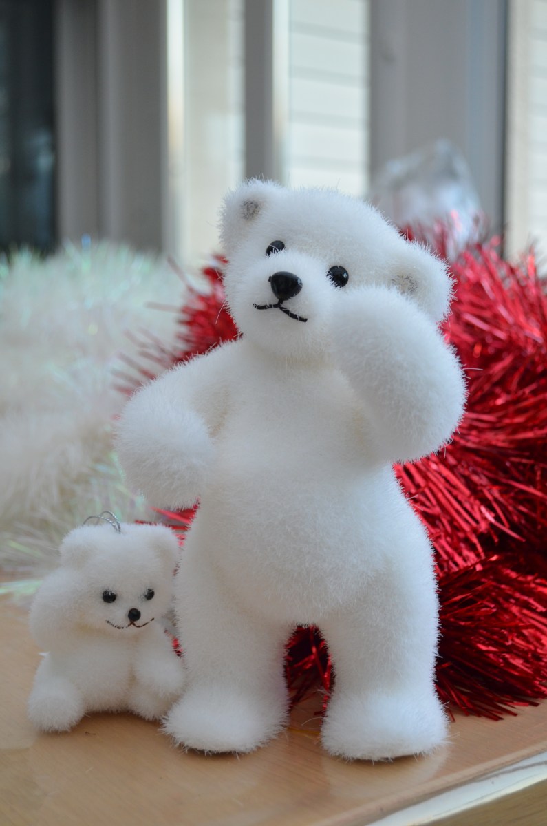 famille d'accueil , personnes âgées , bécourt , pas de calais