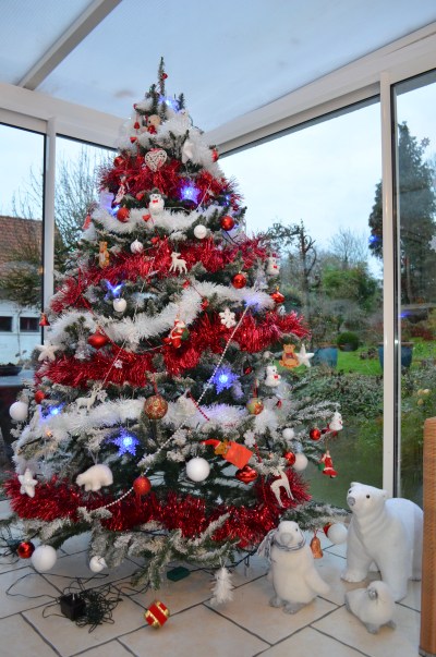 famille , d'accueil , personnes âgées , bécourt , pas de calais