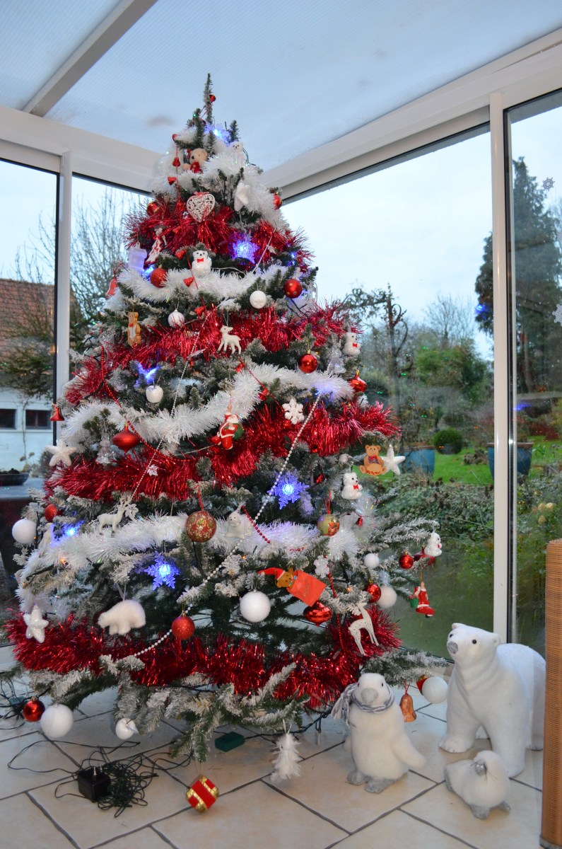 famille , d'accueil , personnes âgées , bécourt , pas de calais
