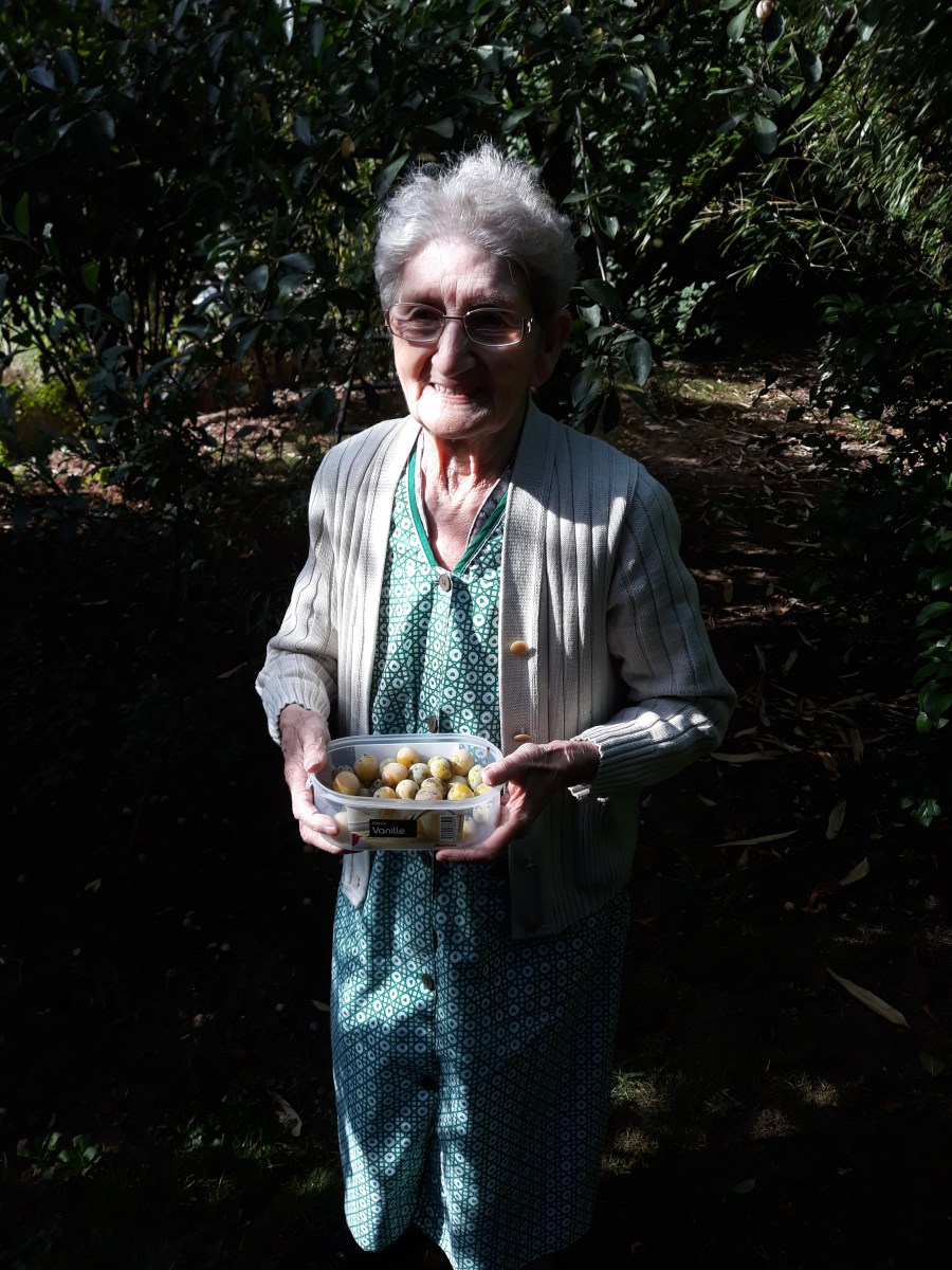 famille d’accueil , personnes âgées , bécourt , pas de calais