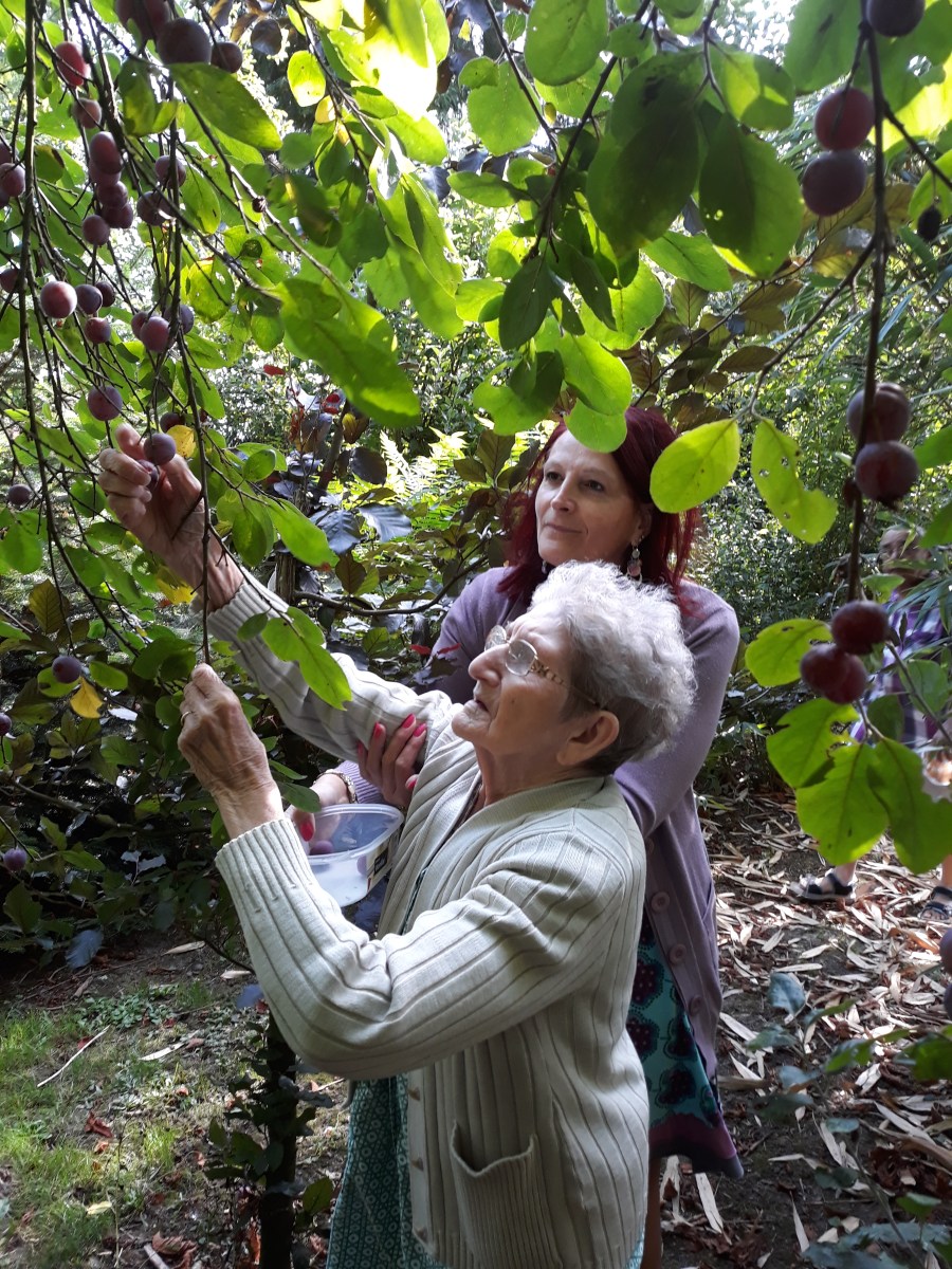 famille d’accueil , personnes âgées , bécourt , pas de calais