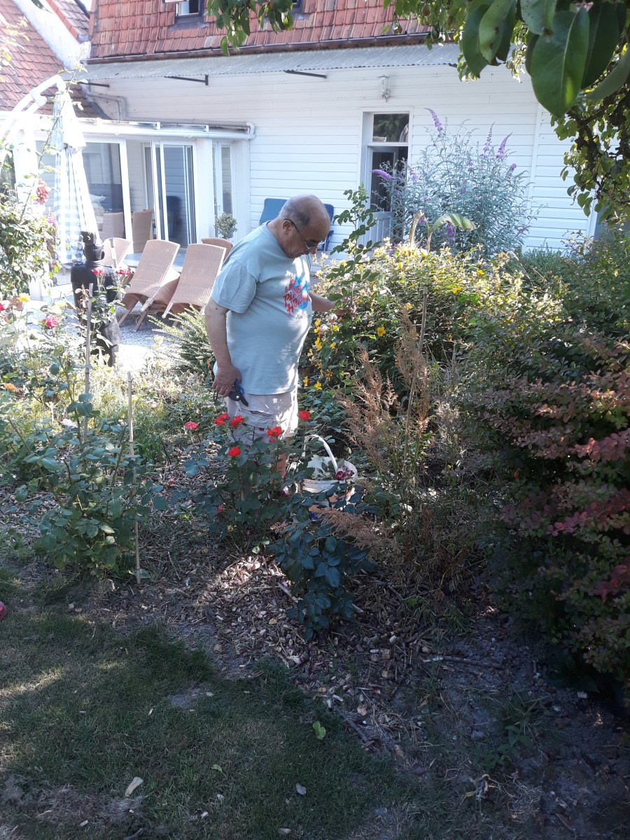 famille d'accueil , personnes âgées , bécourt , pas de calais