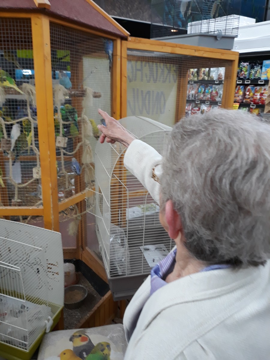 famille d'accueil , personnes âgées , bécourt , pas de calais
