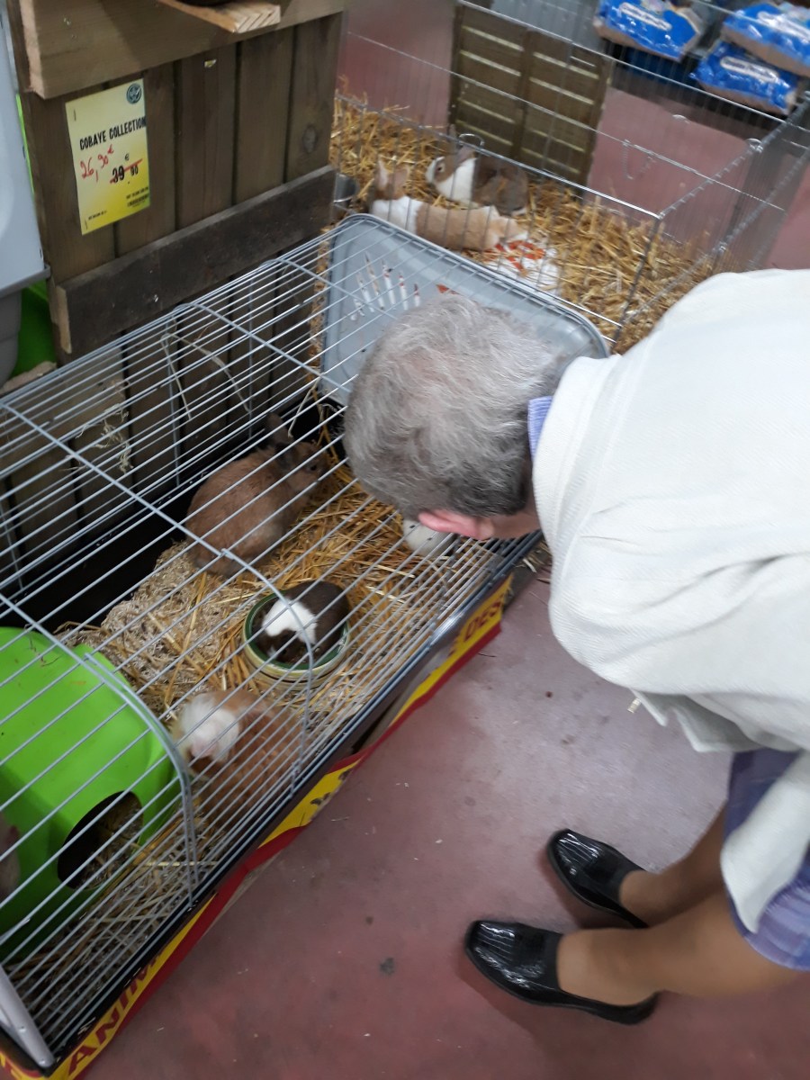 famille d'accueil , personnes âgées , bécourt , pas de calais
