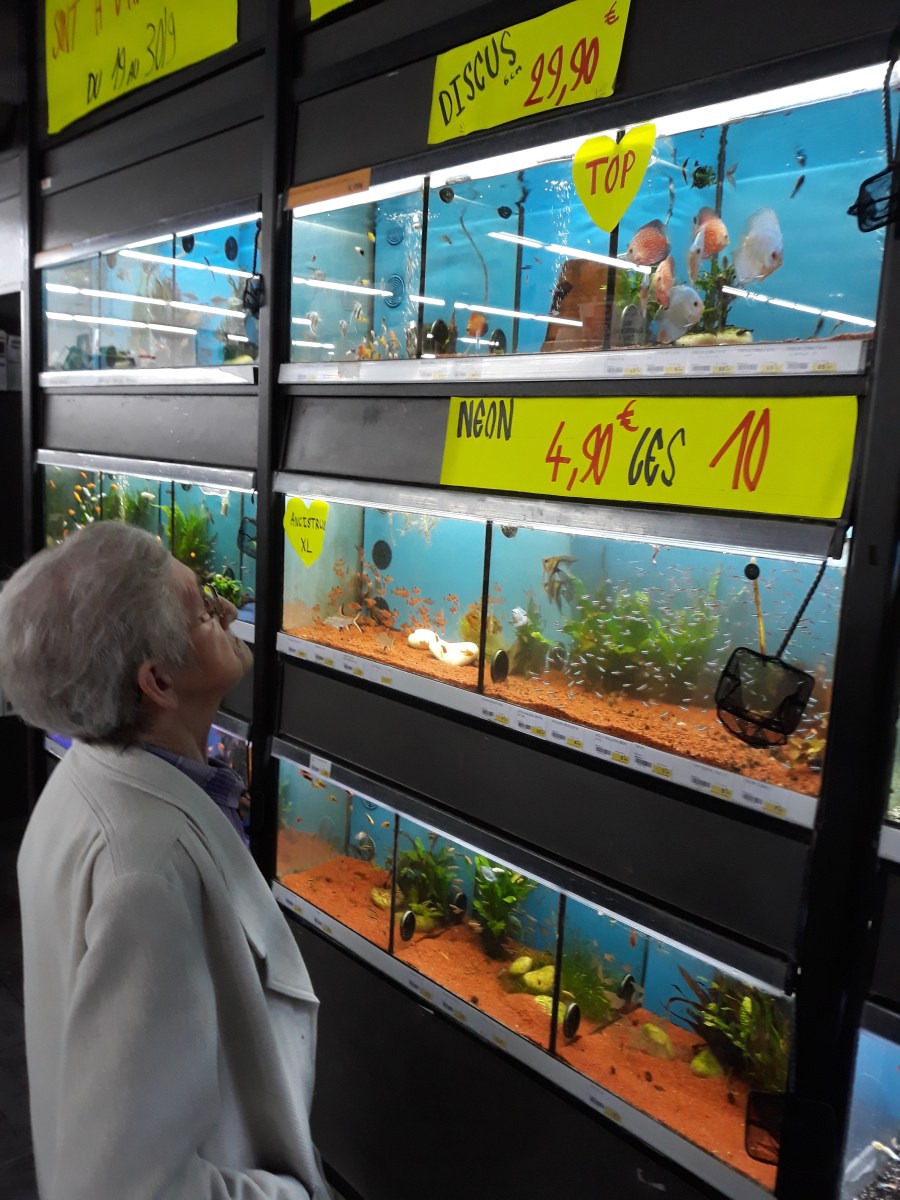 famille d'accueil , personnes âgées , bécourt , pas de calais