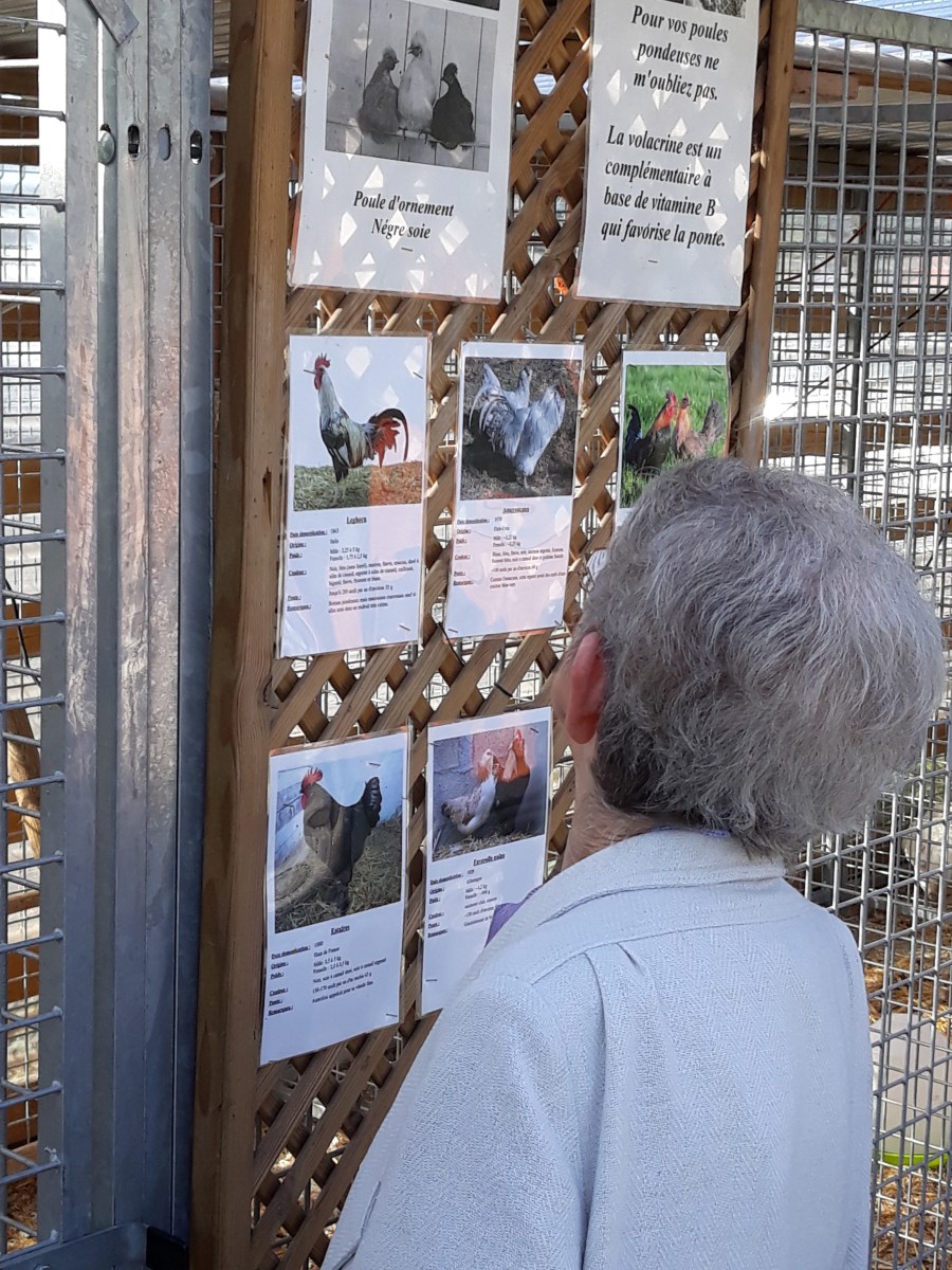 famille d'accueil , personnes âgées , bécourt , pas de calais