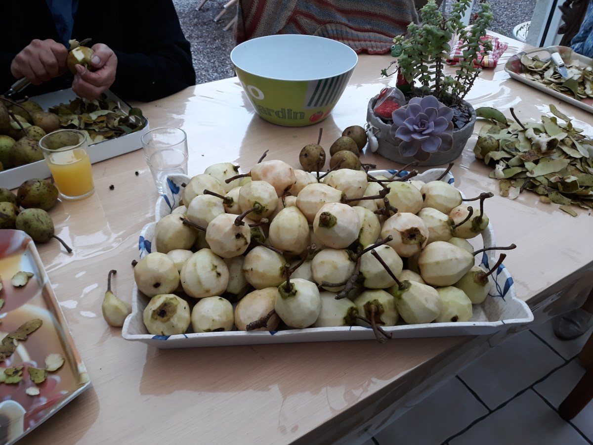 famille d'accueil , personnes âgées , bécourt , pas de calais