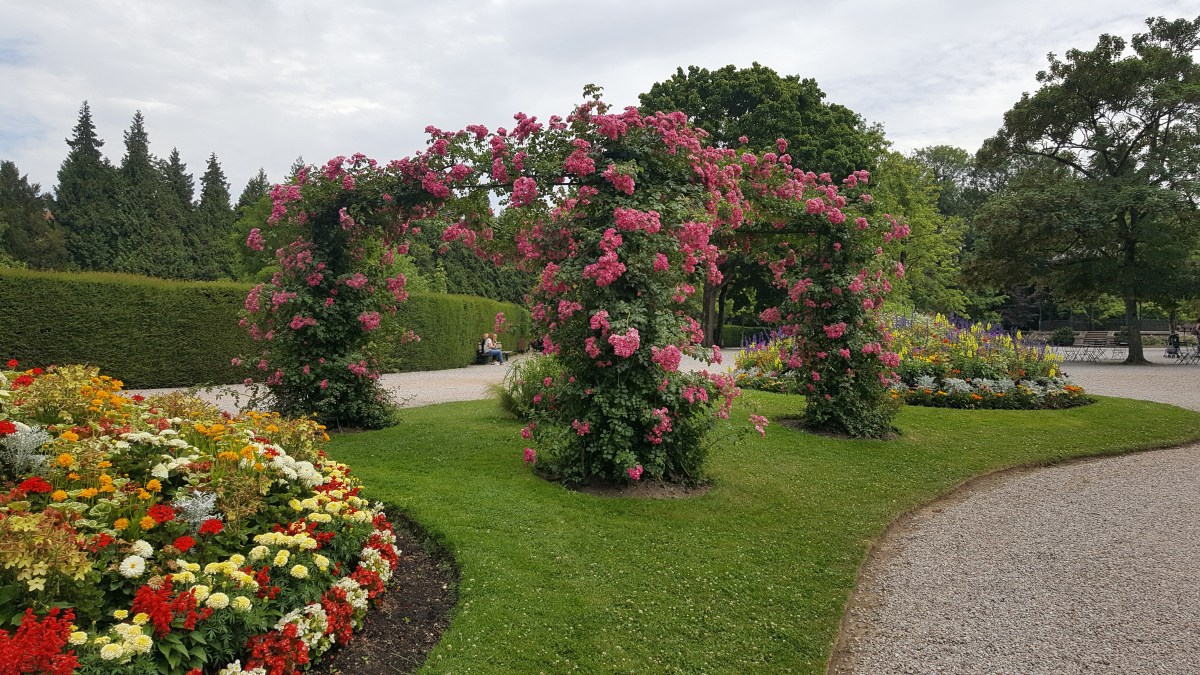 famille d’accueil , personnes âgées , pas de calais , bécourt