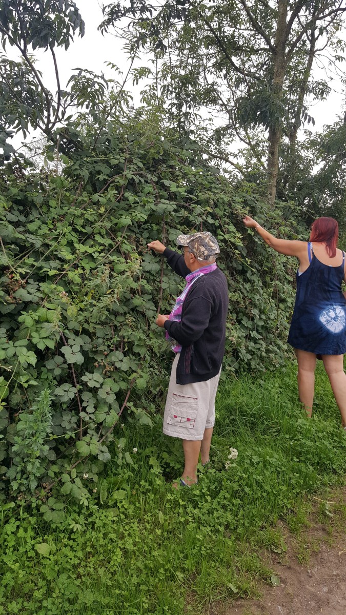 famille d'accueil , pas de calais , bécourt , personne âgée