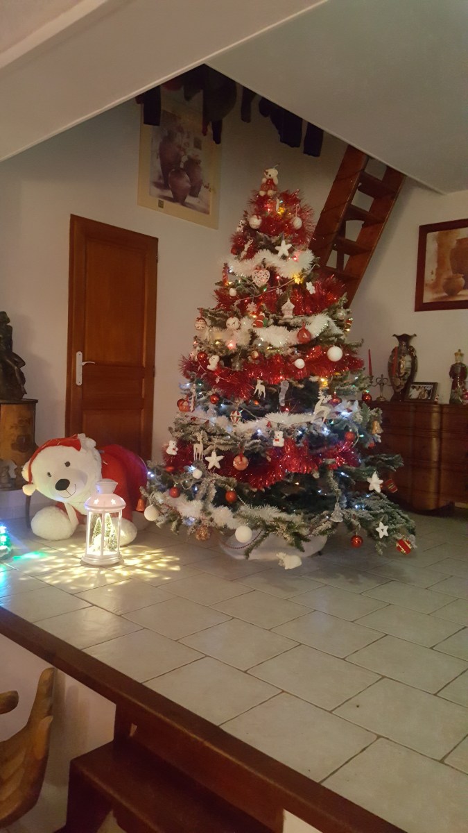 famille d'accueil , personnes âgées , becourt , pas de calais